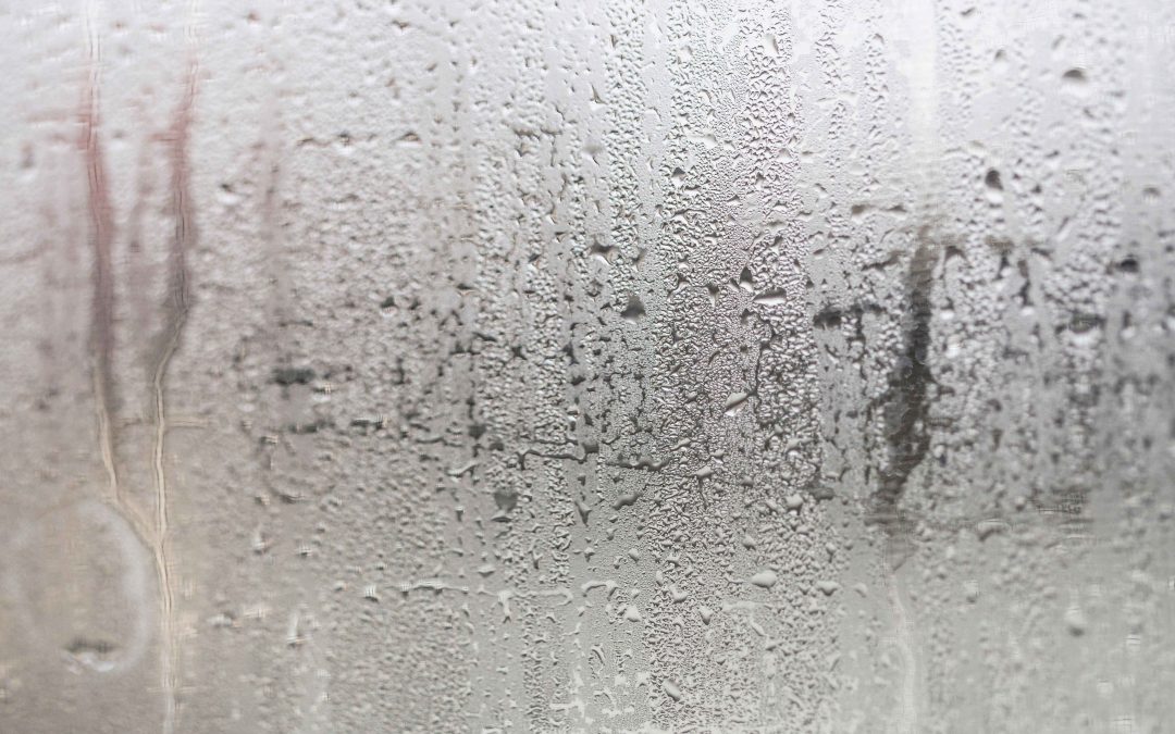 How to Manage Humidity Levels During Different Seasons